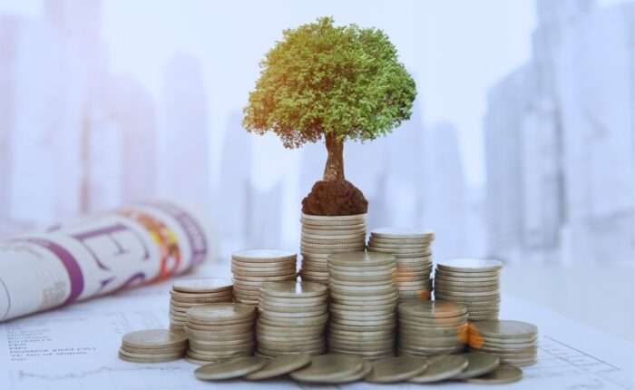 Monthly Legal Update: November 2024